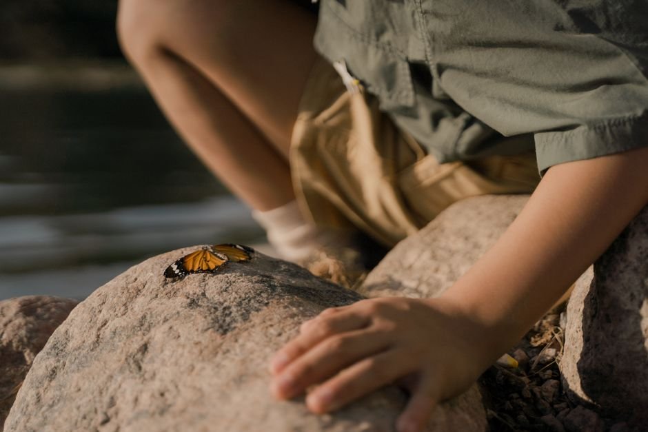 child observing nature closely